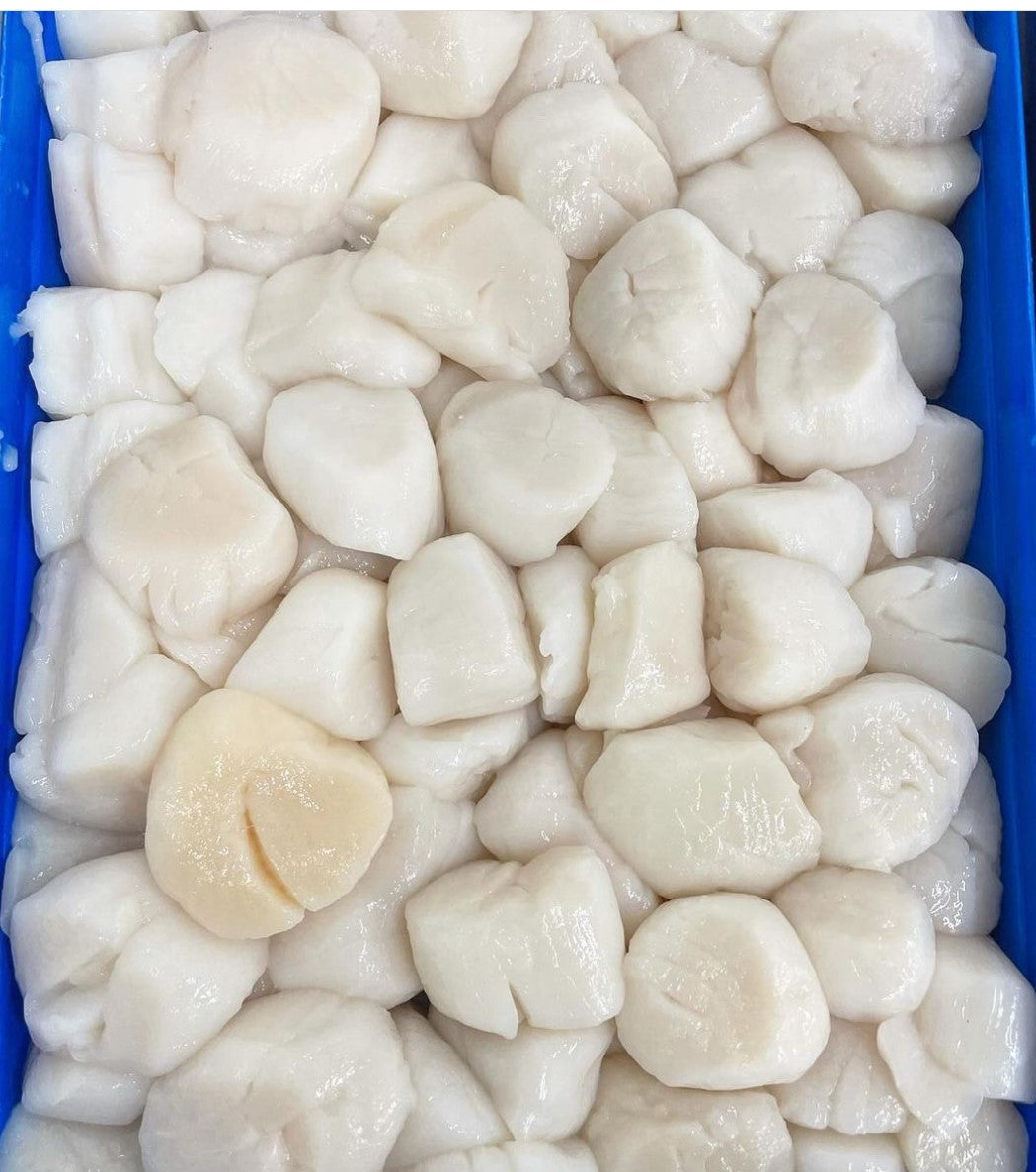 Dry Scallops U/10 Fresh Seafood in NY. Westbury Fish Company